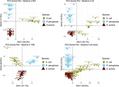 An Investigation of Stability and Species and Strain-Level Specificity in Bacterial Volatilomes